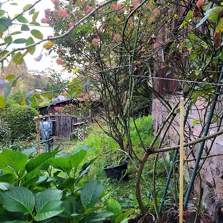 Kleines Gemütliches Fachwerkhaus Für Vier Gäste *